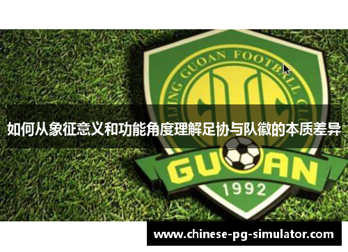 如何从象征意义和功能角度理解足协与队徽的本质差异