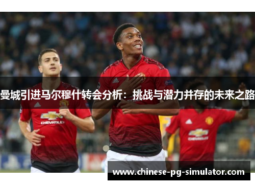 曼城引进马尔穆什转会分析：挑战与潜力并存的未来之路