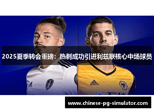 2025夏季转会重磅：热刺成功引进利兹联核心中场球员