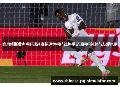 维尼修斯发声呼吁球迷赛场理性相待让热爱足球回归纯粹与友爱氛围