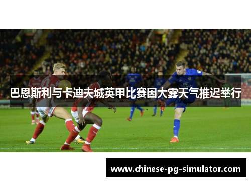 巴恩斯利与卡迪夫城英甲比赛因大雾天气推迟举行