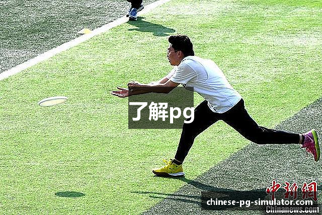 了解pg